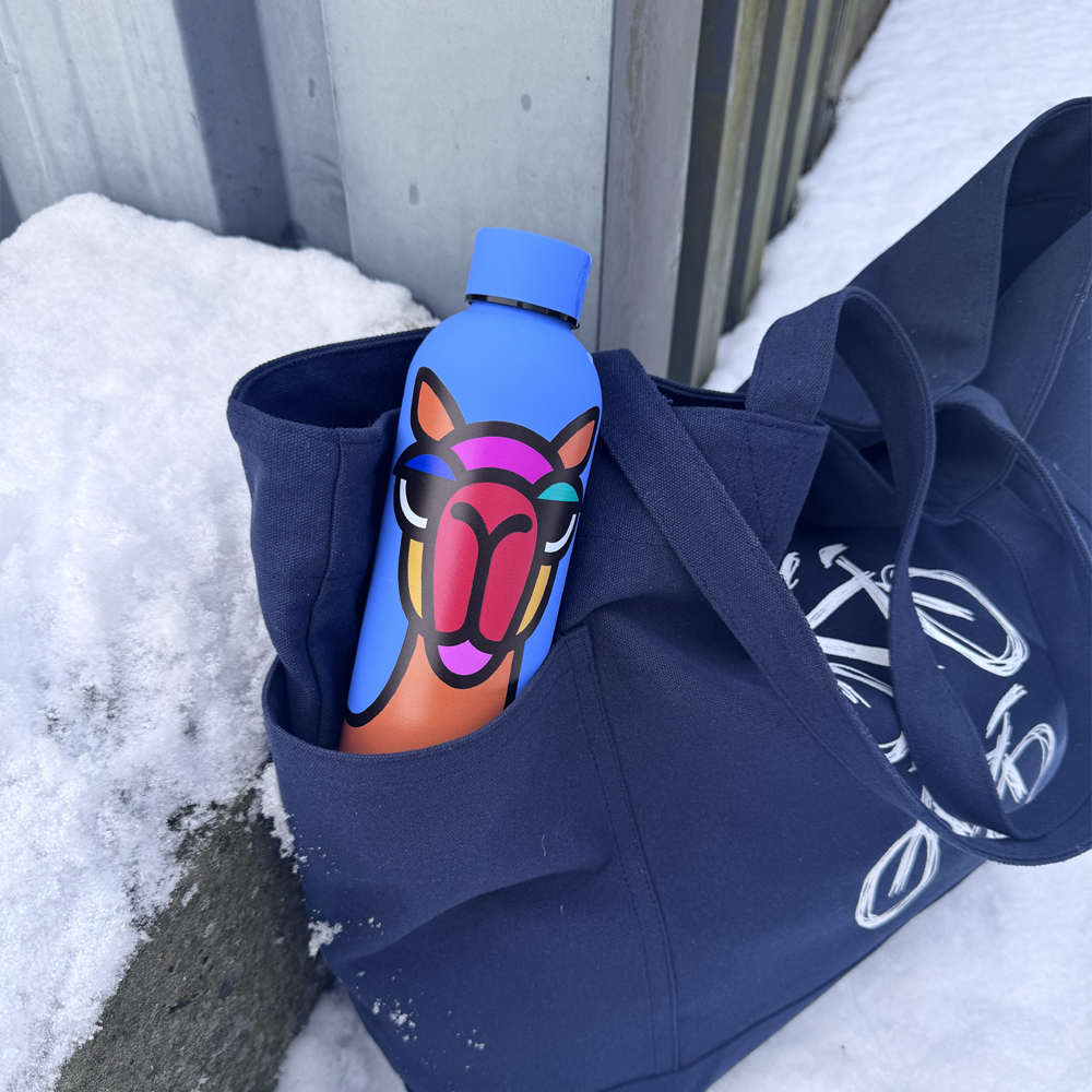 VANDFLASKE TERMO KAMEL 500 ML 2