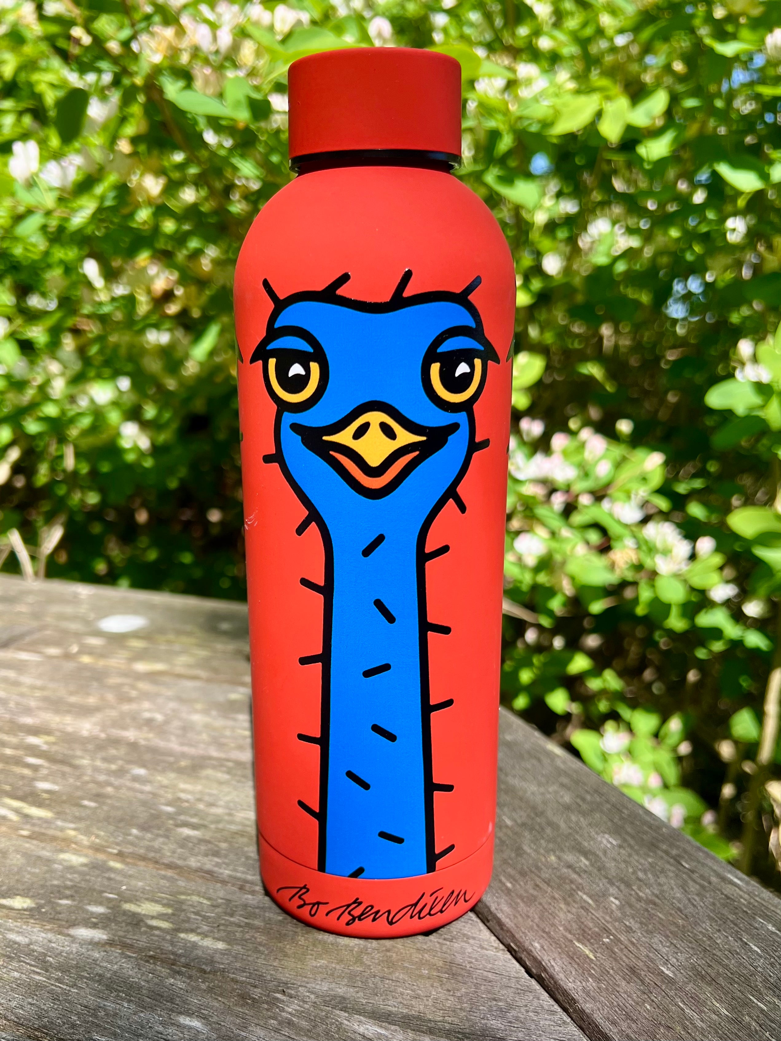 VANDFLASKE TERMO STRUDS 500 ML 2